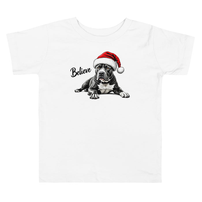 Believe Toddler Tee