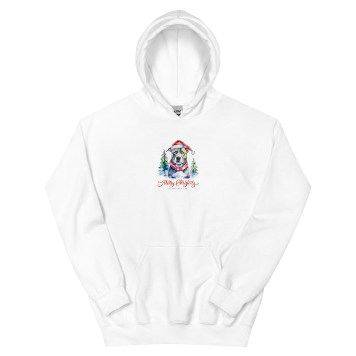 Merry Christmas Hoodie