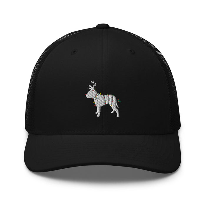 Christmas Pittie Hat