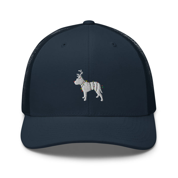 Christmas Pittie Hat
