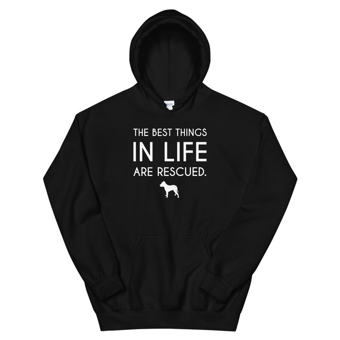 Best Things in Life Hoodie